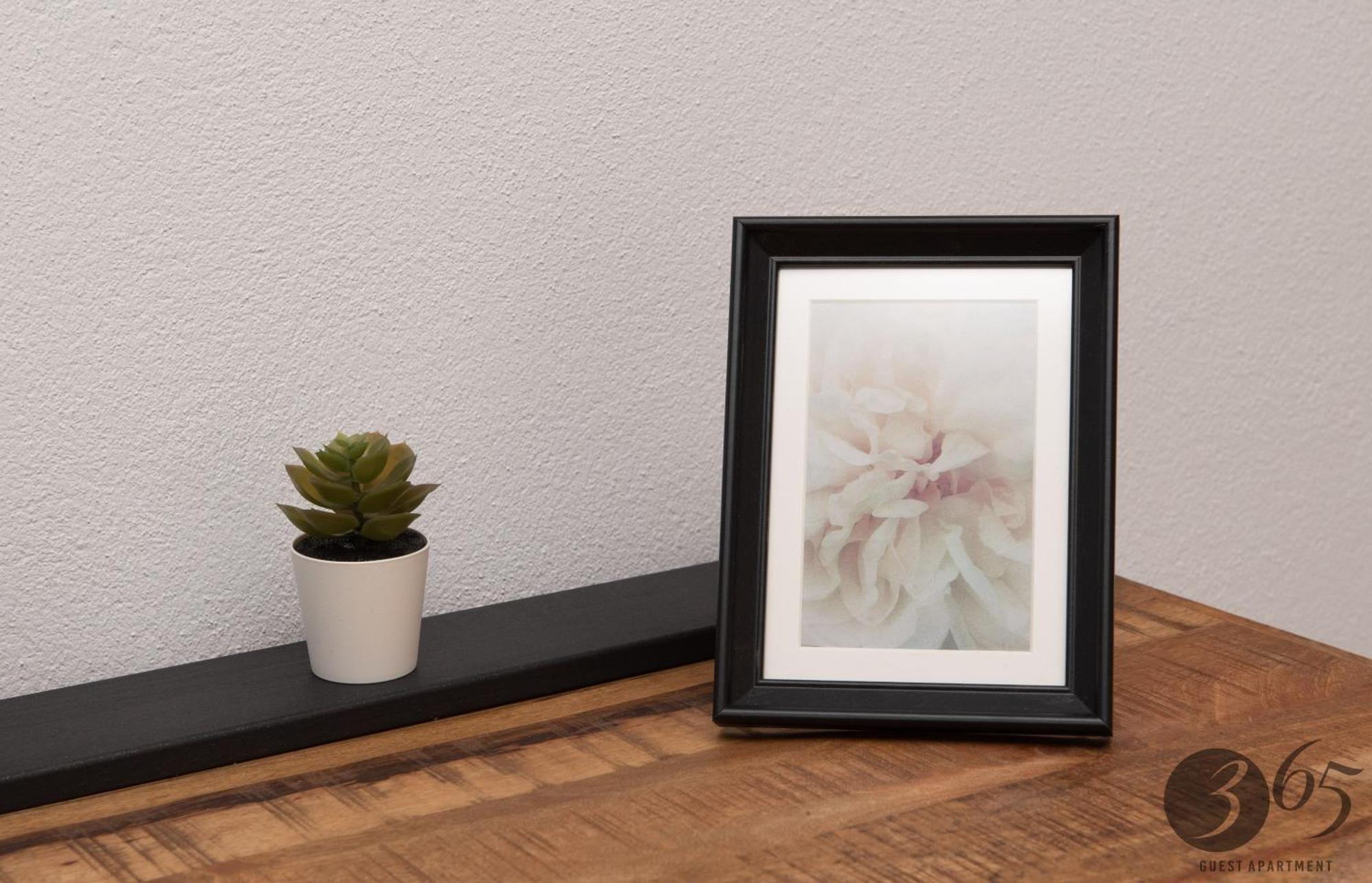 Apartamento 365 Guest